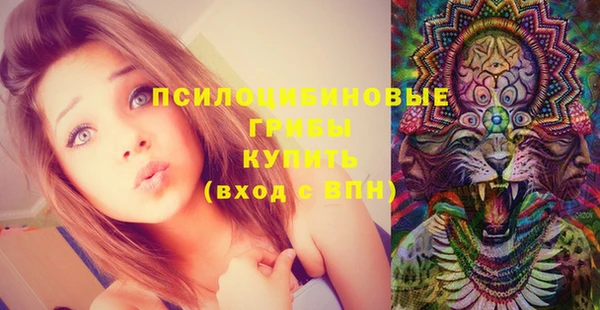 марки lsd Алексеевка