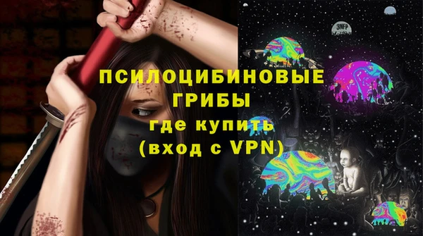 гидра Алексин