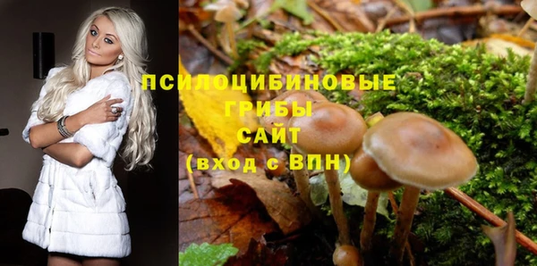 гидра Алексин