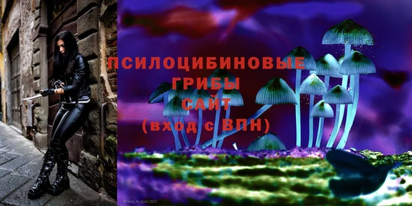 ПСИЛОЦИБИНОВЫЕ ГРИБЫ Алзамай