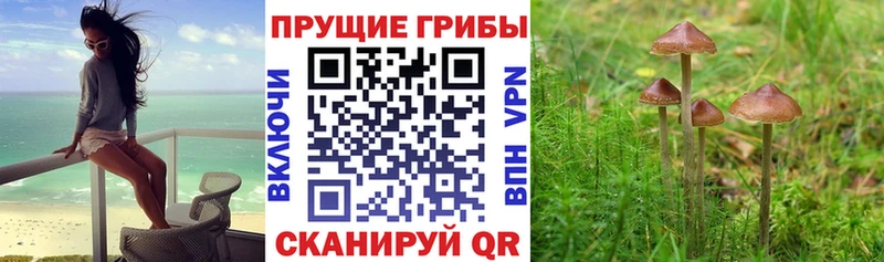 Псилоцибиновые грибы мухоморы  Вихоревка 